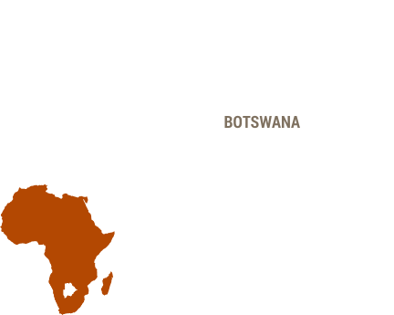SAVE-Wildlife-Artenschutz-nachhaltig-in-Afrika-Botswana