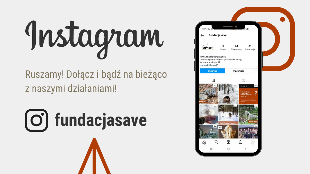Fundacja SAVE Instagram